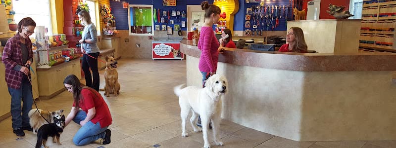Dog day care center Top Notch Kennels Modesto