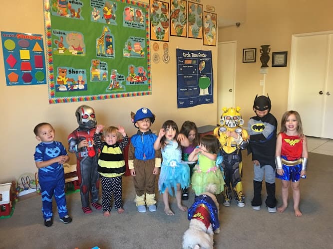 Dog day care center Toyland Heaven Daycare Santa Ana