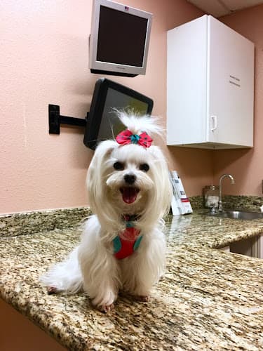 Dog day care center Tricity Veterinary Hospital Fremont