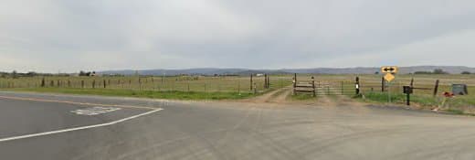 Dog day care center Uncle Mike's dog pet sitting Vacaville