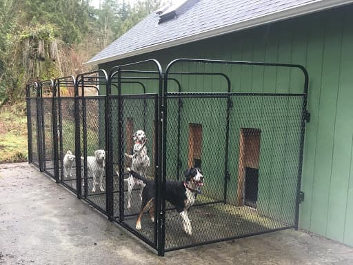 Dog day care center Unique K-9's Everett