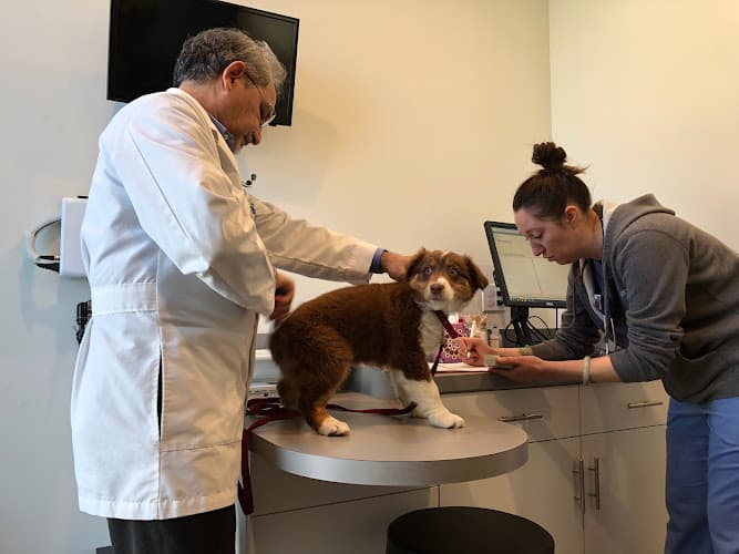 Dog day care center University Vet Hospital Richmond