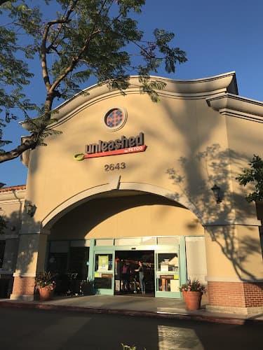 Dog day care center Unleashed Simi Valley