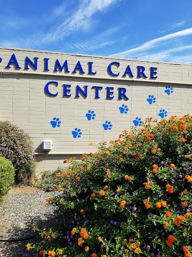 Dog day care center Vacaville Animal Care Center Vacaville