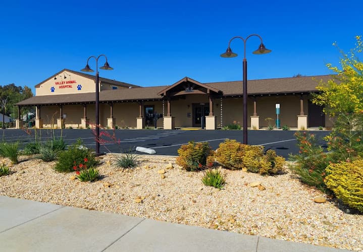 Dog day care center Valley Pet Hotel Jurupa Valley