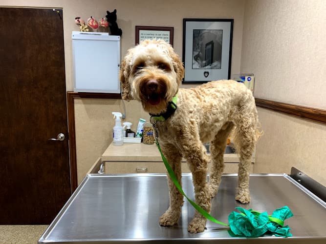 Dog day care center Valley Veterinary Clinic Simi Valley