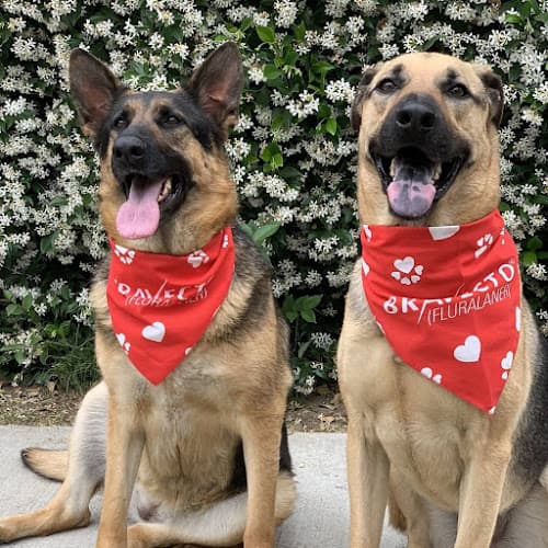 Dog day care center Valley Veterinary Hospital Modesto
