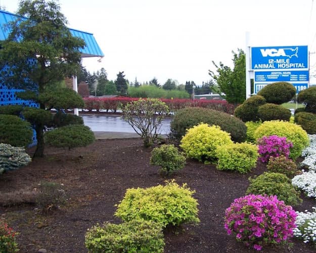 Dog day care center VCA 12-Mile Animal Hospital Gresham