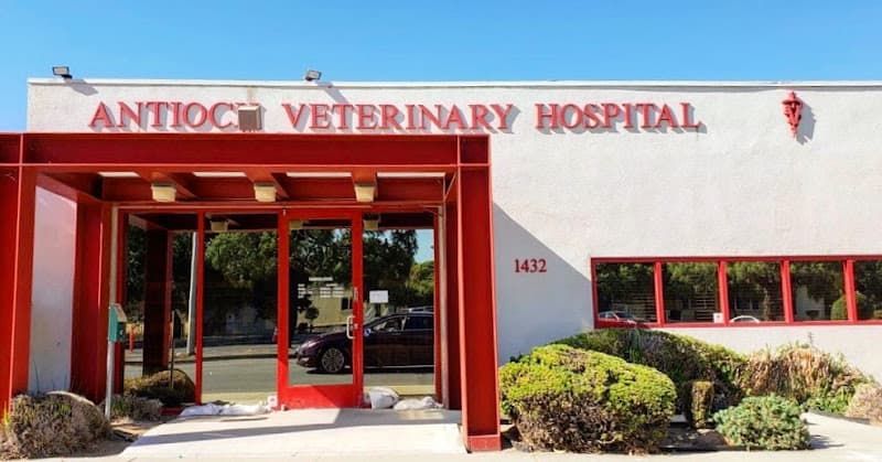 Dog day care center VCA Antioch Animal Hospital - 10th Street Antioch