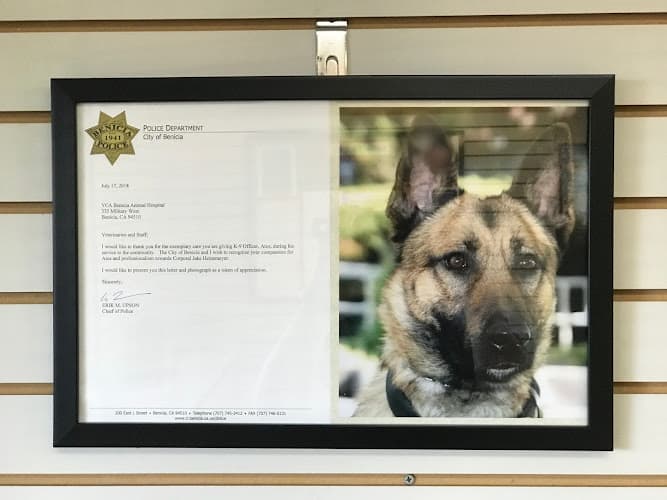 Dog day care center VCA Benicia Animal Hospital Vallejo