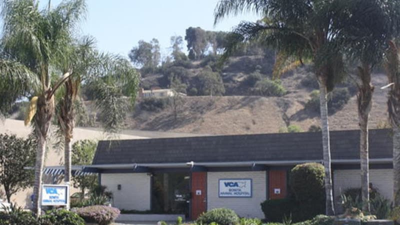 Dog day care center VCA Bonita Animal Hospital Chula Vista