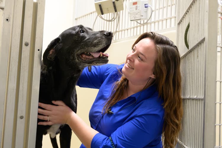 Dog day care center VCA California Veterinary Specialists-Carlsbad Carlsbad