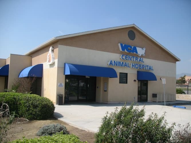 Dog day care center VCA Central Animal Hospital Ontario