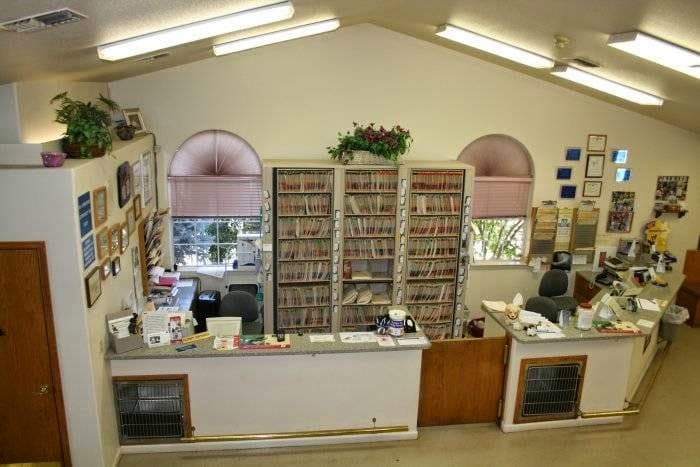 Dog day care center VCA Companion Animal Hospital Redding