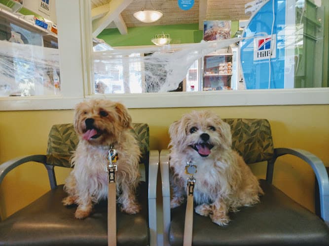 Dog day care center VCA Crocker Animal Hospital San Jose