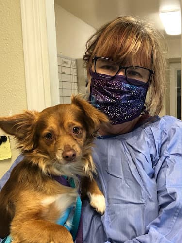 Dog day care center VCA Devotion Animal Hospital Santa Rosa
