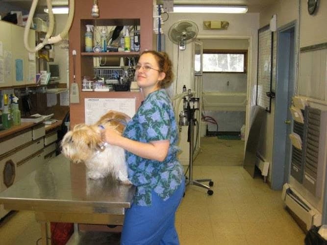 Dog day care center VCA East Anchorage Animal Hospital Anchorage