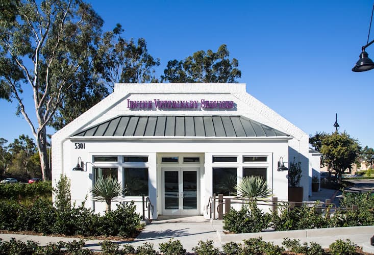 Dog day care center VCA Irvine University Park Animal Hospital Irvine