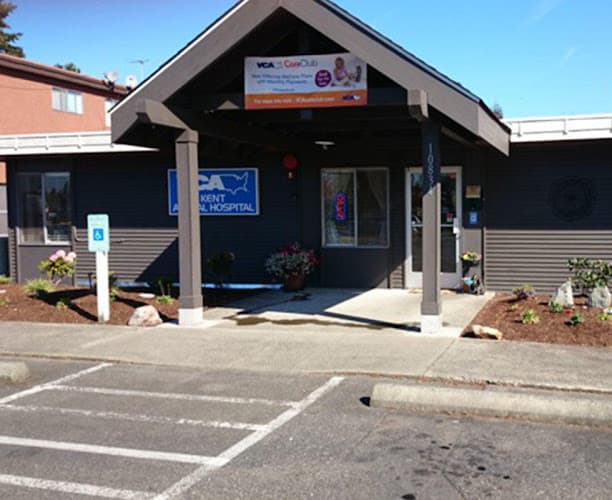 Dog day care center VCA Kent Animal Hospital Kent