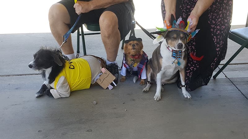 Dog day care center VCA Mesa Animal Hospital Victorville