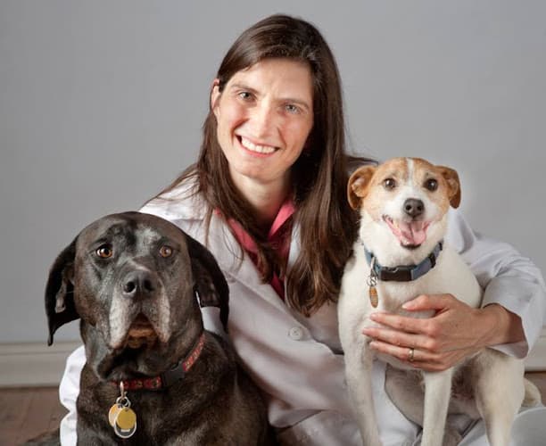 Dog day care center VCA Murrayhill Veterinary Hospital Beaverton