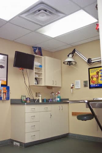 Dog day care center VCA North Division Animal Medical Center Spokane