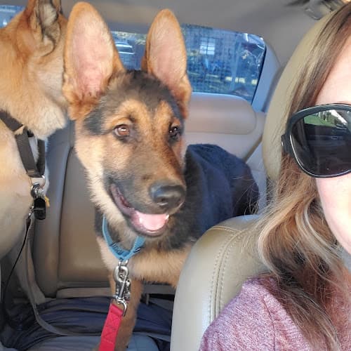 Dog day care center VCA Northside Animal Hospital San Bernardino