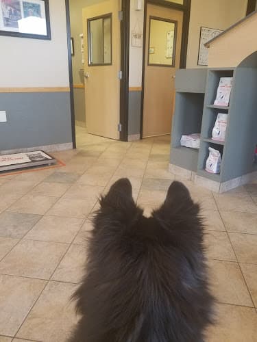 Dog day care center VCA Santa Margarita Animal Hospital Mission Viejo