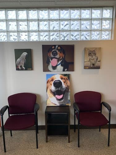 Dog day care center VCA Sequoia Valley Animal Hospital Santa Rosa