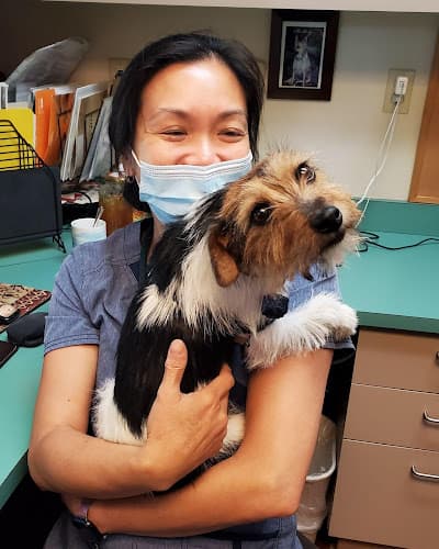 Dog day care center VCA Vets & Pets Animal Hospital Santa Clara