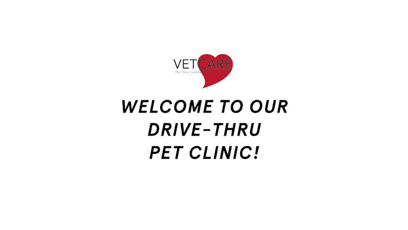 Dog day care center Vet Care Pet Clinic Garden Grove