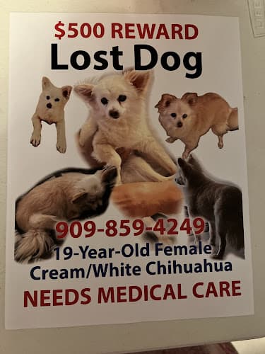 Dog day care center Victorville Animal Control Victorville