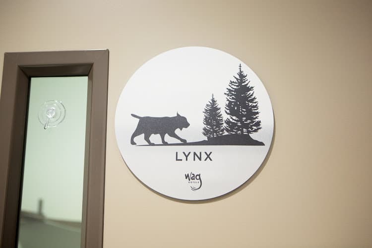 Dog day care center Wag Hotels Santa Clara