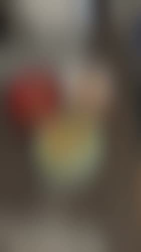 Dog day care center Walk My Pup Vallejo