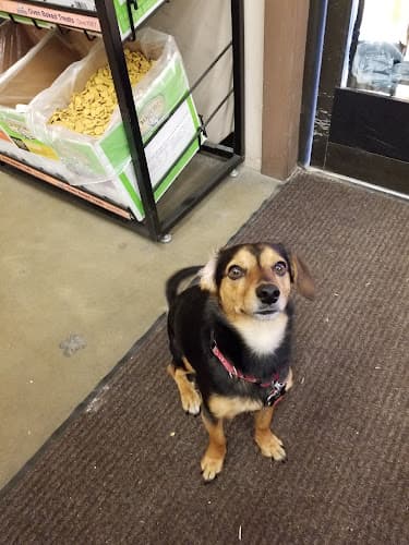 Dog day care center Western Ranch & Pet Supply Vacaville