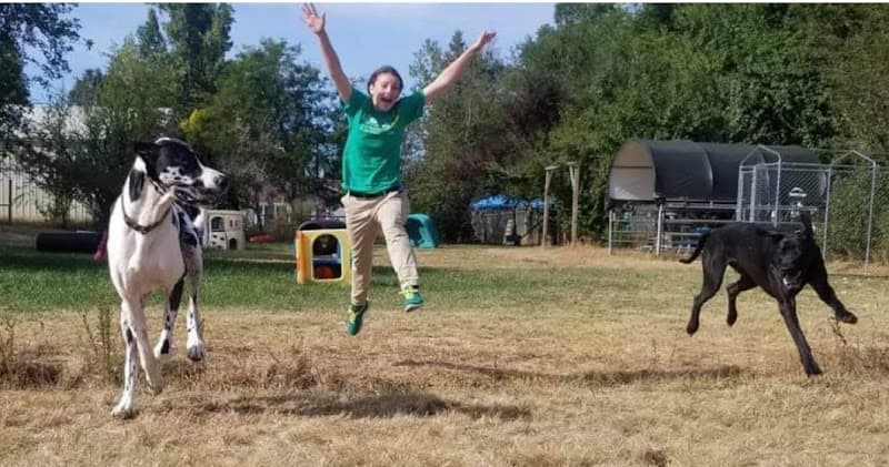 Dog day care center Willamette Valley Dog and Cat Motel, Inc. Eugene