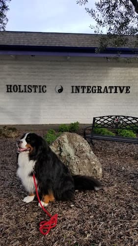 Dog day care center Wise & Wonderful Integrative Veterinary Center Santa Rosa