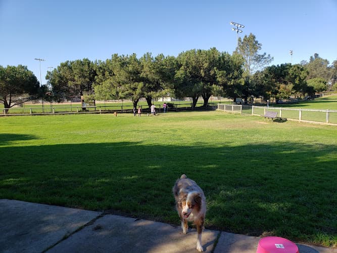 Dog day care center Woof P.A.C. Park Santa Maria