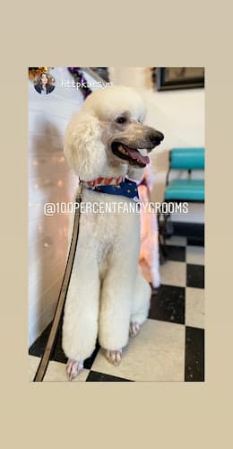Dog Grooming 100% Fancy Grooms Fresno