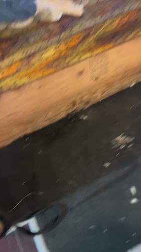 Dog Grooming Adorable To Me Dog Grooming Open Yakima