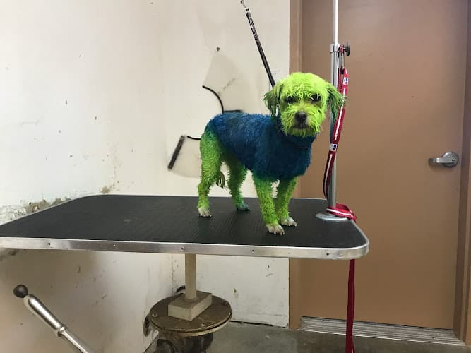 Dog Grooming Airport west animal clinic that groomer guy Yakima