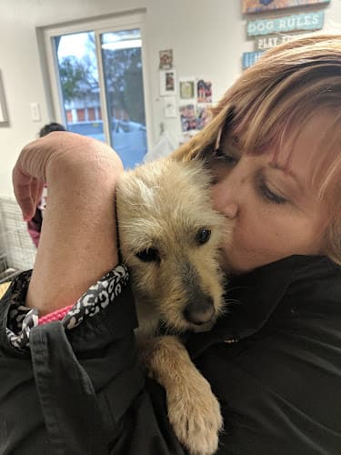 Dog Grooming All Breed Grooming Concord