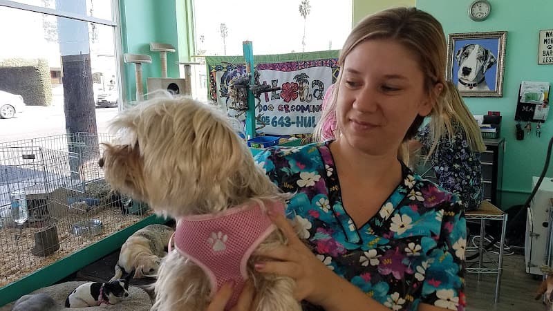 Dog Grooming Aloha Dog Grooming Ventura