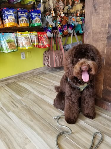 Dog Grooming Andy's Pet Grooming Eagle Rock Los Angeles