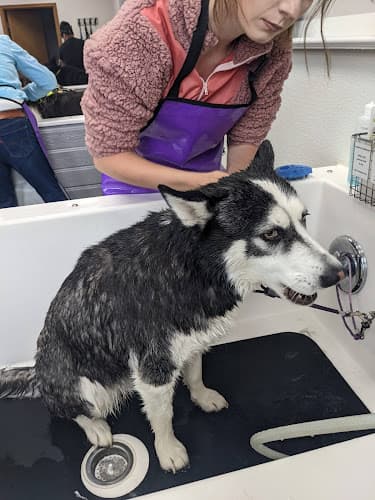 Dog Grooming Animal House Self Service Dog Grooming Beaverton