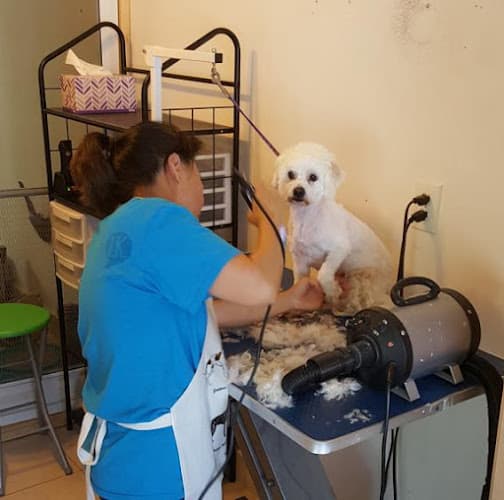Dog Grooming Annie's Small Dog Bath and Groom Fullerton