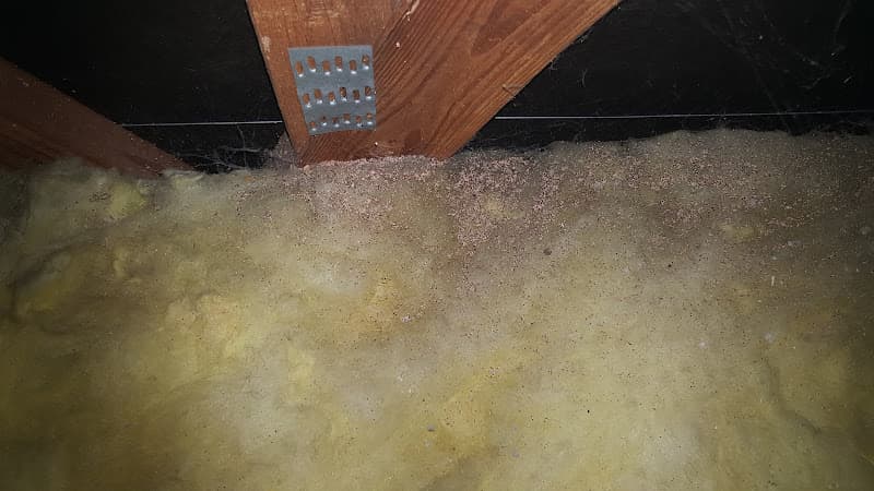 Dog Grooming Aussie Pet Mobile East County San Diego (Grooming) Carlsbad