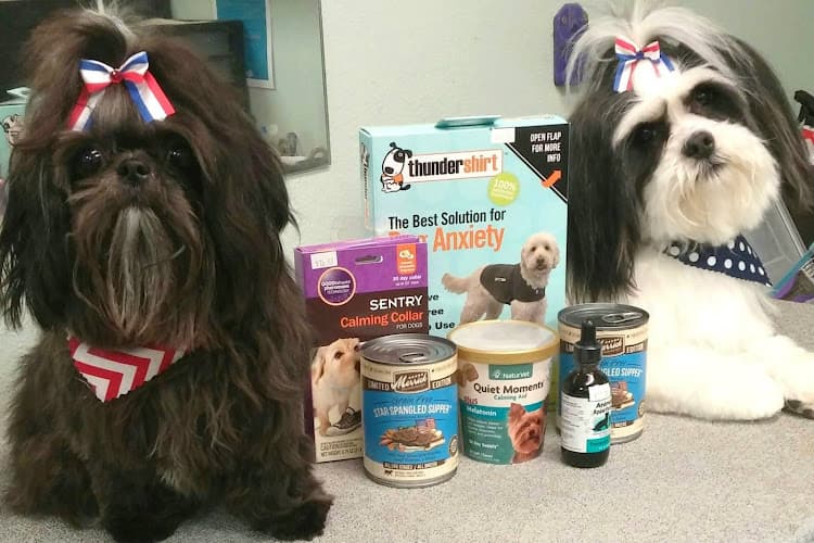 Dog Grooming Beastie Boutique, LLC Beaverton