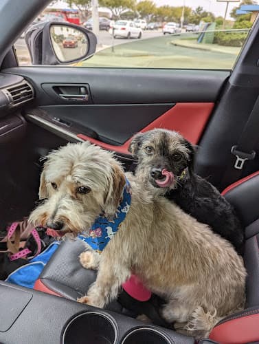 Dog Grooming Beccas country pet grooming Salinas