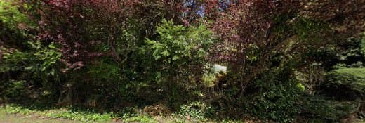 Dog Grooming Bellageds Mobile Grooming Renton